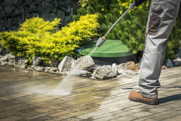 Best Roof Washing  in Harrison, NJ